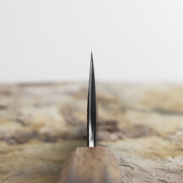 Sakai Takayuki Homura Guren Aogami#2/Iron Kurouchi Nóż Szefa kuchni 22,5 cm